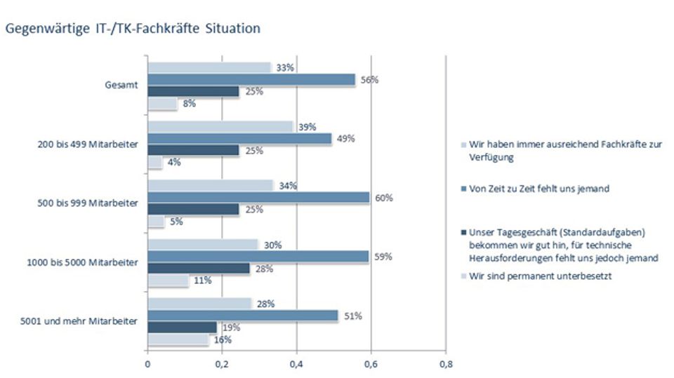 Techconsult study on the IT skills situation Techconsult study on the IT skills situation