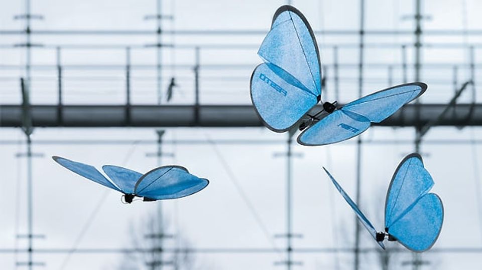 Technical details of the 'eMotionButterflies'