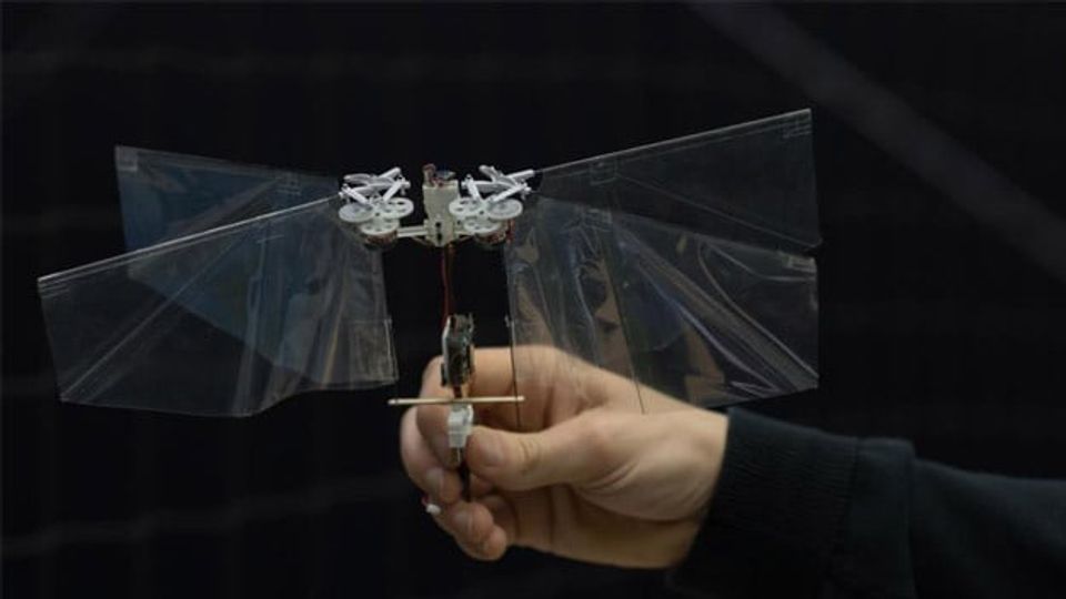 The flying robot 'DelFly Nimble' in detail The flying robot 'DelFly Nimble' in detail
