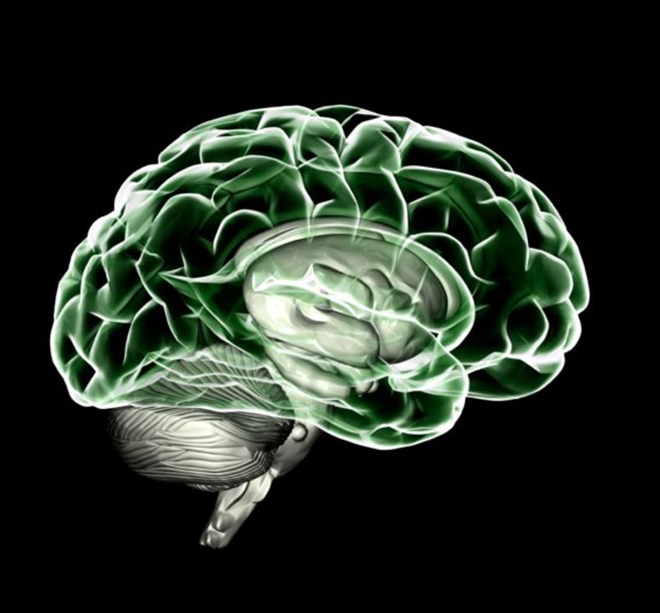 Insight into the 'Human Brain Project' Insight into the 'Human Brain Project'