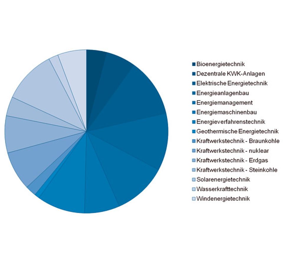 Ergebnisse des VDI-Energiebarometers Januar 2013 Ergebnisse des VDI-Energiebarometers Januar 2013