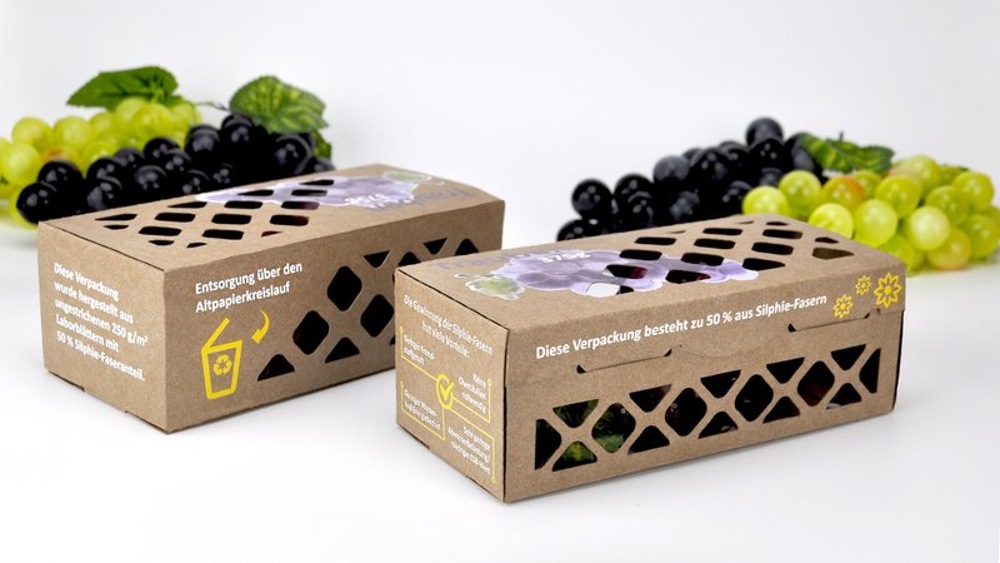 Sustainable packaging solution made from Silphie fibers