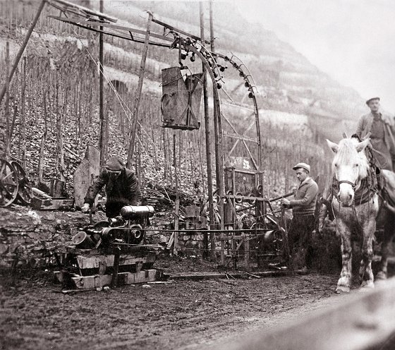 Seilbahnen zur Bewirtschaftung von Weinbergen