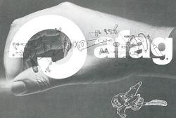 60 Jahre Afag – 20 Jahre eps: Geschichte und Strategie der Afag-Gruppe 