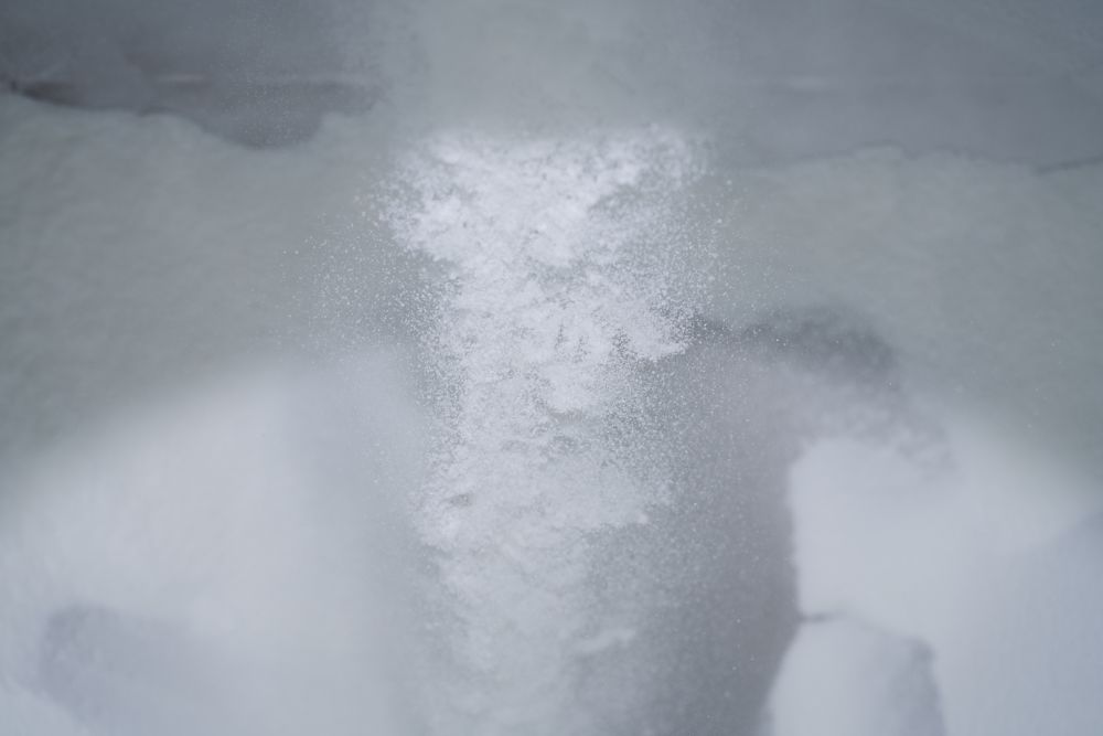 Powder experts