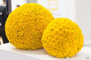 Unterwegs in den Hallen der Hannover Messe<br /> Unterwegs in den Hallen der Hannover Messe<br />