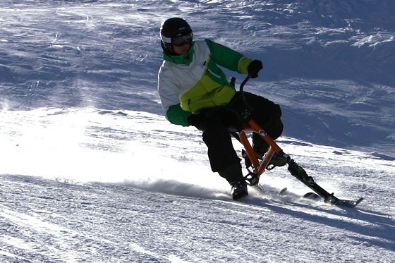 Skibob Skibob