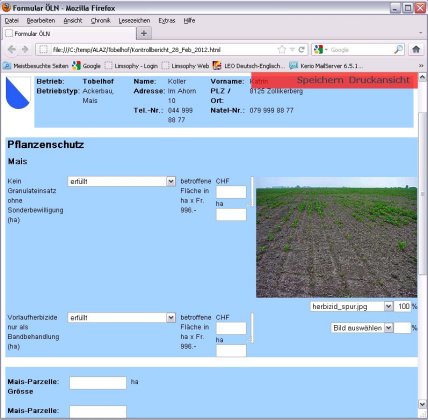 Produkt-News: Stark ! Browser-Formulare unbekümmert selbst gezimmert