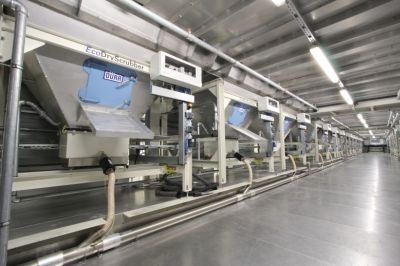Wirtschaft + Unternehmen: Dürr baut in China