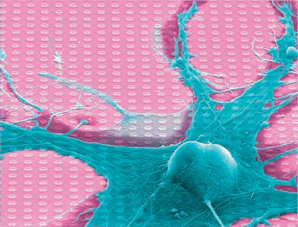 Life Sciences Innovations: Mikroelektroden und Neurochips