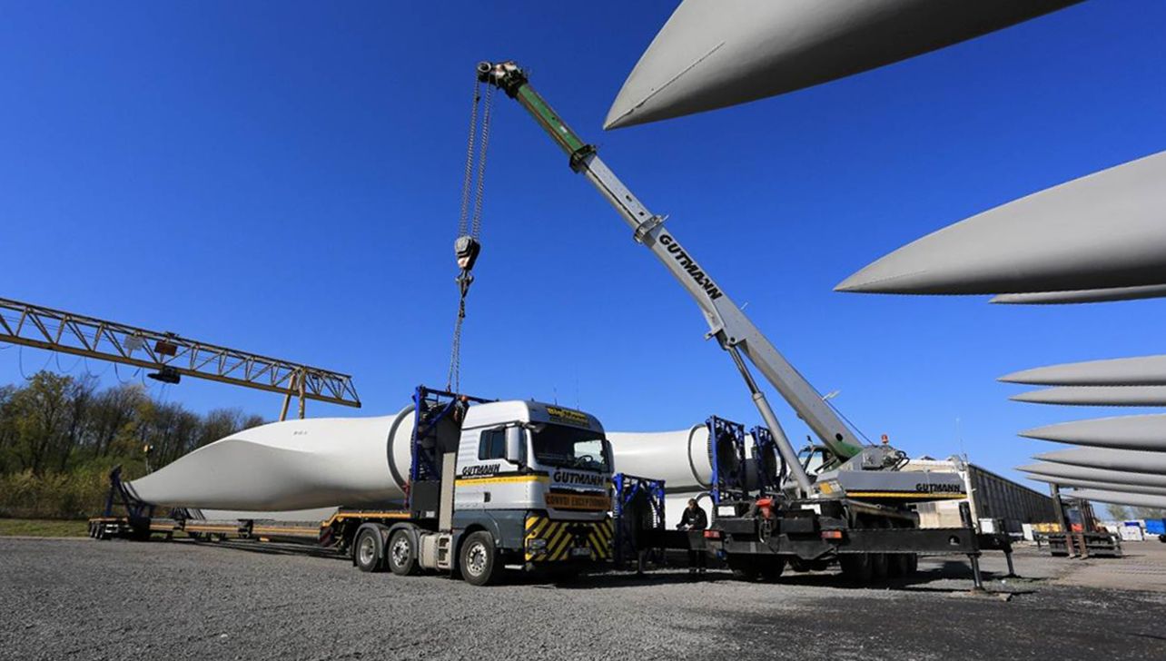 GHL_Goldscheuer_Windblätter_2013_web