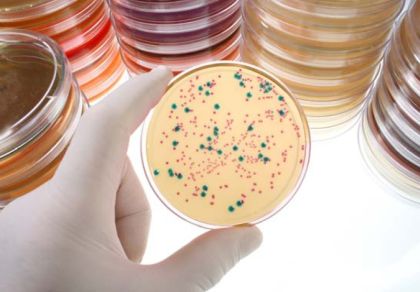 Life Sciences Innovations: Im Kampf gegen Keime