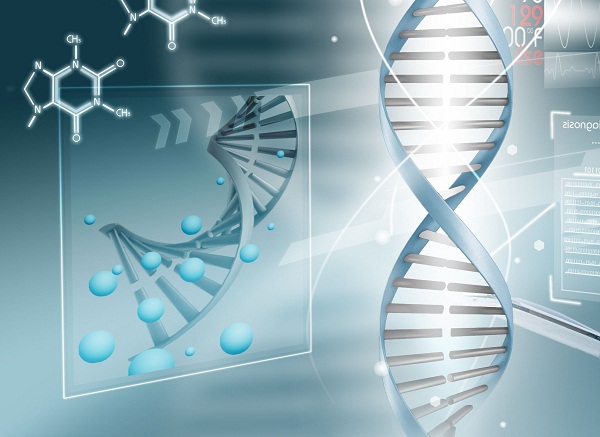 Mütterliche Gene mitentscheidend: Alterungsprozess und Gene Mütterliche Gene mitentscheidend: Alterungsprozess und Gene