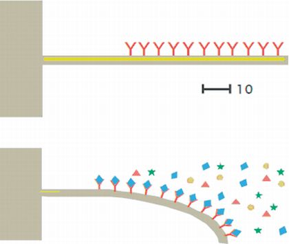 Fachbeitrag: Lab-on-a-Chip