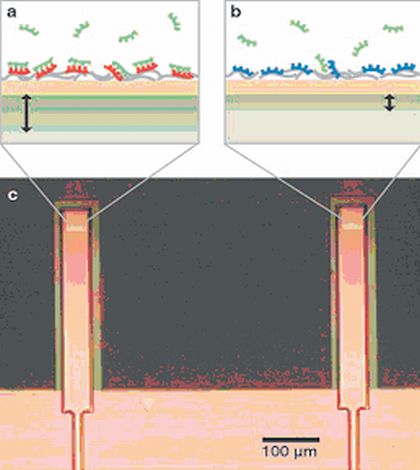 Fachbeitrag: Lab-on-a-Chip