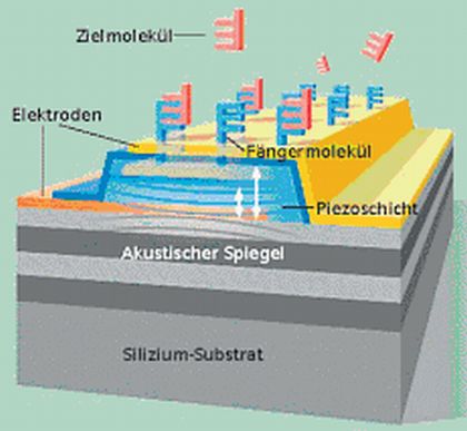 Fachbeitrag: Lab-on-a-Chip