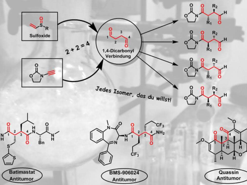Selektive Synthese von 1,4-Dicarbonylverbindungen mit Sulfoxiden sowie bedeutende Wirkstoffvertreter, die die 1,4-Dicarbonyleinheit enthalten.