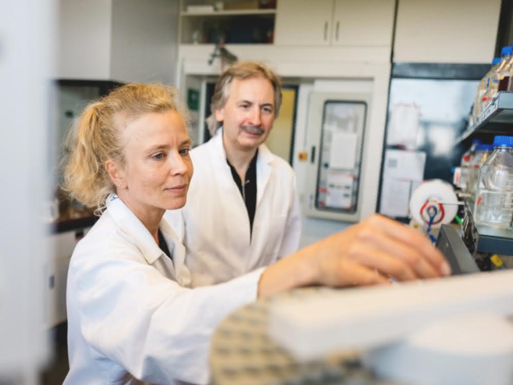 Anja Hemschemeier und Thomas Happe von der RUB