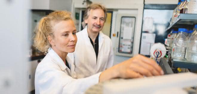Anja Hemschemeier und Thomas Happe von der RUB