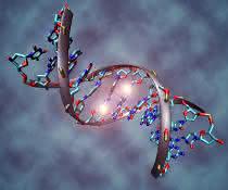 Ein methyliertes DNA-Molekül (Bildausschnitt). Epigenetische Veränderungen spielen eine Rolle beim Fortschreiten des Glioblastoms. Ein methyliertes DNA-Molekül. Epigenetische Veränderungen spielen eine Rolle beim Fortschreiten des Glioblastoms.