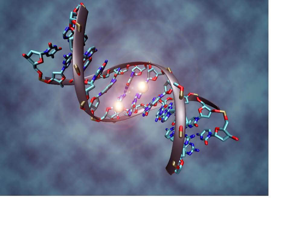 Ein methyliertes DNA-Molekül. Epigenetische Veränderungen spielen eine Rolle beim Fortschreiten des Glioblastoms.