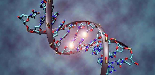 Ein methyliertes DNA-Molekül (Bildausschnitt). Epigenetische Veränderungen spielen eine Rolle beim Fortschreiten des Glioblastoms. Ein methyliertes DNA-Molekül. Epigenetische Veränderungen spielen eine Rolle beim Fortschreiten des Glioblastoms.