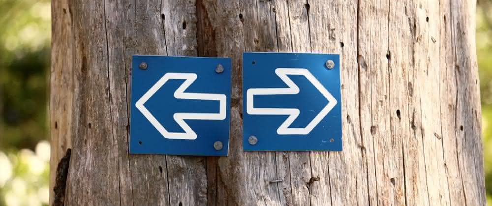 Ein vertieftes Wissen von Natur- und Technikwissenschaftlern auch in den "gegenüberliegenden" Disziplinen kann die Basis für zukunftsweisende interdisziplinäre Forschungsansätze sein- und auch einmal für einen sinnvollen Kurswechsel. Sinnbild für Kurswechsel: Entgegengesetzte Pfeile auf Baumstamm