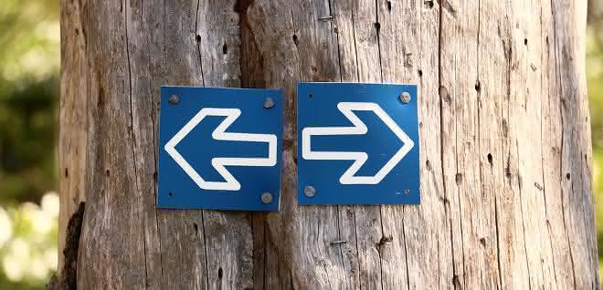 Ein vertieftes Wissen von Natur- und Technikwissenschaftlern auch in den "gegenüberliegenden" Disziplinen kann die Basis für zukunftsweisende interdisziplinäre Forschungsansätze sein- und auch einmal für einen sinnvollen Kurswechsel. Sinnbild für Kurswechsel: Entgegengesetzte Pfeile auf Baumstamm