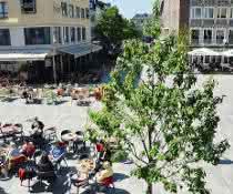 GaLaBau: Pflasterbelag für Platzgestaltung GaLaBau: Pflasterbelag für Platzgestaltung