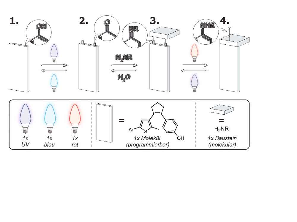 Hoffnung auf neue Wege im Recycling: Lichtgesteuertes Molekül dirigiert chemische Reaktionen Mit Hilfe eines lichtgesteuerten Moleküls und der geeigneten Lichtsequenz lässt sich die Verknüpfung mit einem molekularen Baustein entweder herstellen.