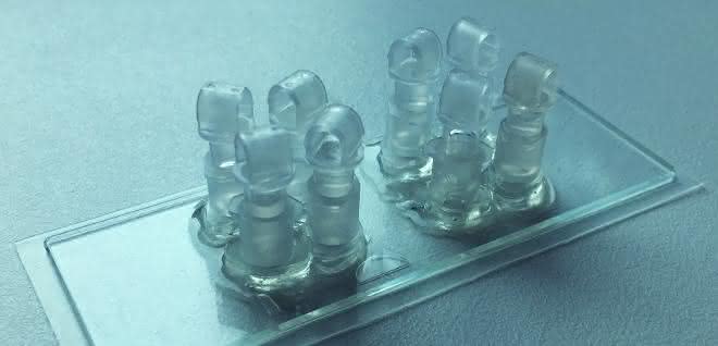 Bio-Trennwand aus dem 3D-Drucker: Die künstliche Plazenta im Labor Der Bio-Chip: Hier kann die künstliche Plazenta unter kontrollierten Bedingungen untersucht werden.