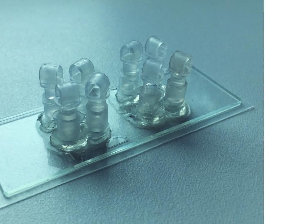 Der Bio-Chip: Hier kann die künstliche Plazenta unter kontrollierten Bedingungen untersucht werden.