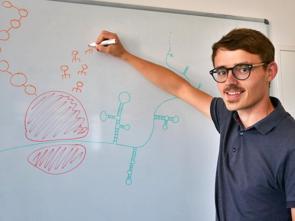 Bioinformatiker Dr. Markus Fricke von der Friedrich-Schiller-Universität Jena. Er ist Erstautor der aktuellen Studie.