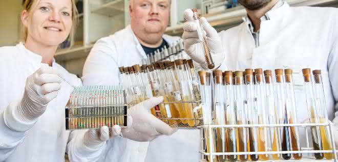 Wissenschaftler zeigen Röhrchen mit Bakterien aus der Stammsammlung