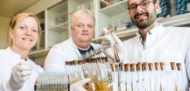 Wissenschaftler zeigen Röhrchen mit Bakterien aus der Stammsammlung