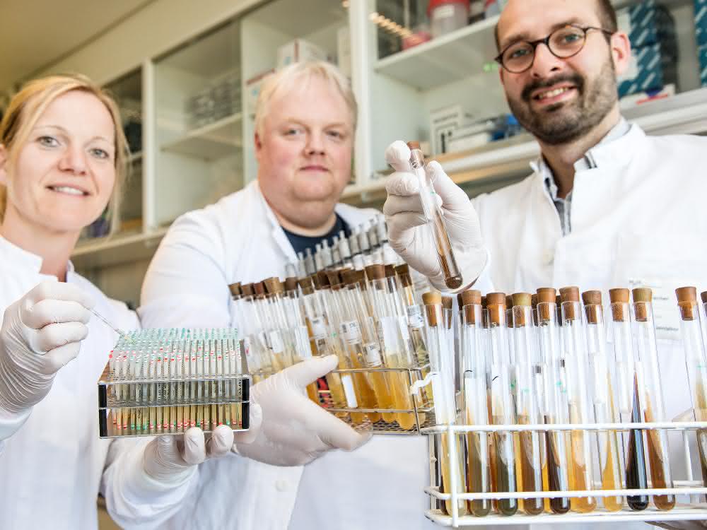 Wissenschaftler zeigen Röhrchen mit Bakterien aus der Stammsammlung