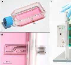 Sensing Cell Culture Flask Sensing Cell Culture Flask