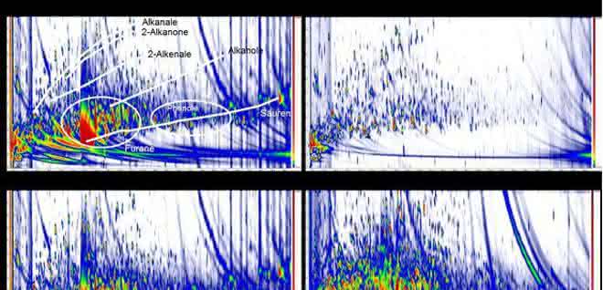 Zweidimensionale GC-Chromatogramme