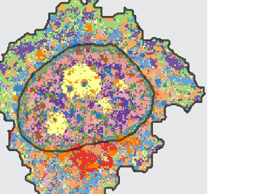 Zehnmal mehr Proteine visualisieren: Neue Imagingmethode für die Analyse von Zellproben 4i ist das erste bildgebende Verfahren, das eine enorm vielschichtige Ansicht und multiplexierte Informationen auf Gewebe-, Zell- und Organell-Ebene verbindet.