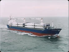 Maritime Wirtschaft: Beluga Nomination ist wieder frei Maritime Wirtschaft: Beluga Nomination ist wieder frei