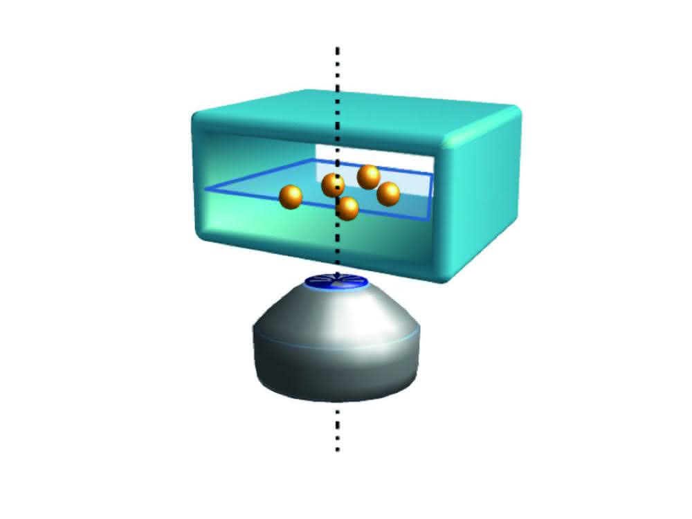 Lab-on-a-Chip: Mit Mikrofluidik und neuronalen Netzwerken Pollen zuverlässig unterscheiden Lab-on-a-Chip: Mit Mikrofluidik und neuronalen Netzwerken Pollen zuverlässig unterscheiden