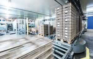 Powerline pallet conveyor technology from Knapp