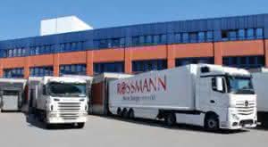 Software: No traffic jams at the ramp at Rossmann Delivery at Rossmann