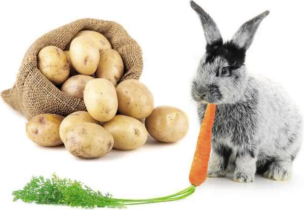 Foto: Fotolia.de / mbongo / fotomaster