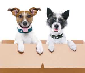 © Javier Brosch – Fotolia.de
