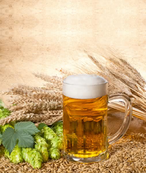 Lager- und Regalsysteme: Die Lagerfläche verdoppelt