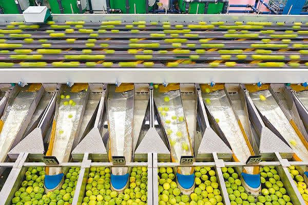 Lager- & Kommissioniertechnik: Für Qualität laufenden Band