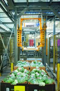 Lager- & Kommissioniertechnik: Hoher Automatisierungsgrad