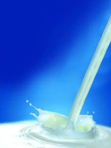 Logistik-Dienstleister: Milch und Käse bestens im Griff