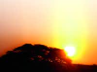 Sonne